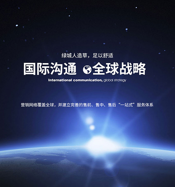 世界杯官网人造草坪一站式服务体系
